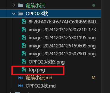 image-20241211214502730