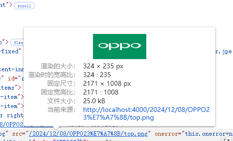 image-20241211220138804