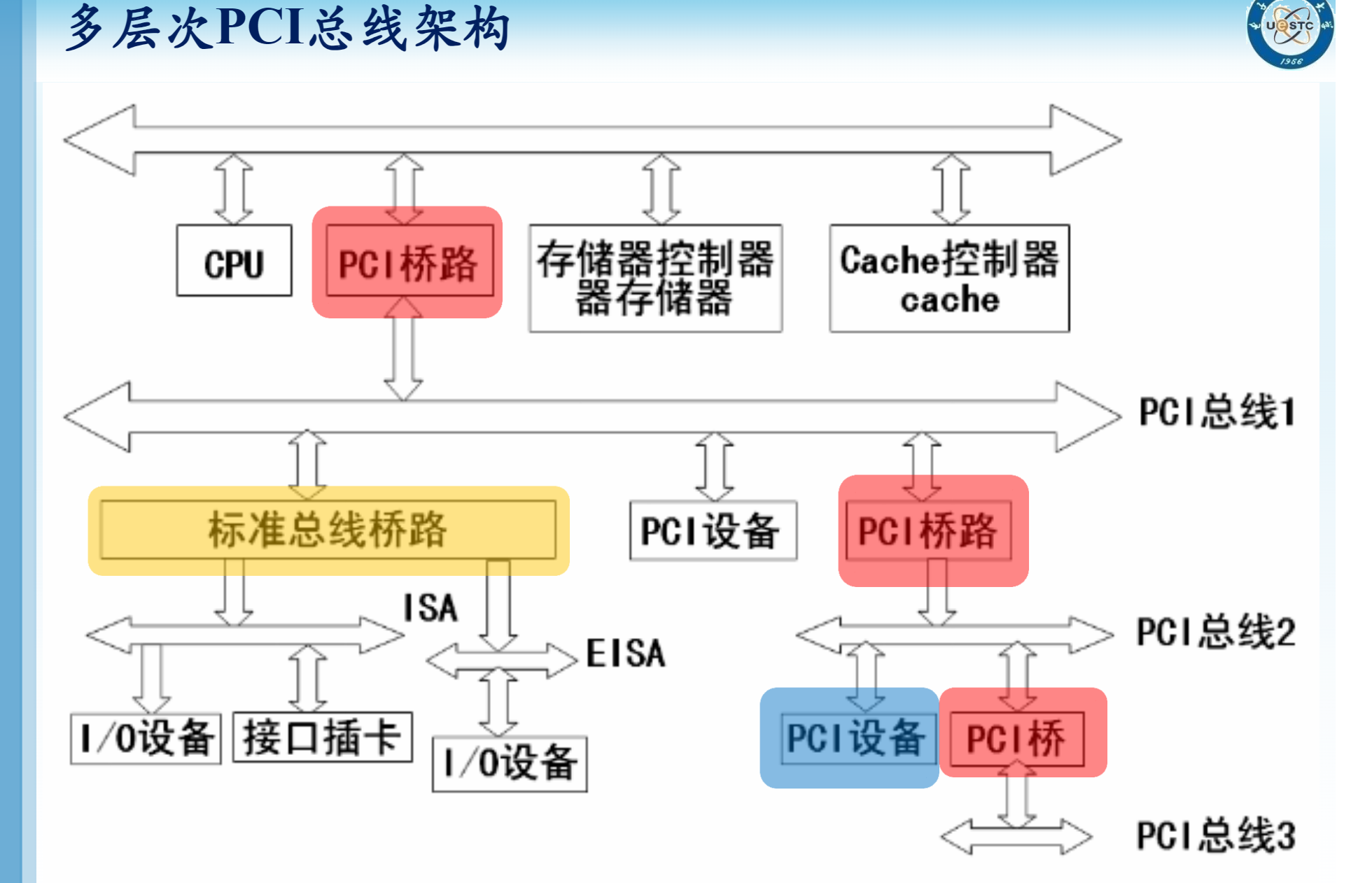 image-20241228101106840