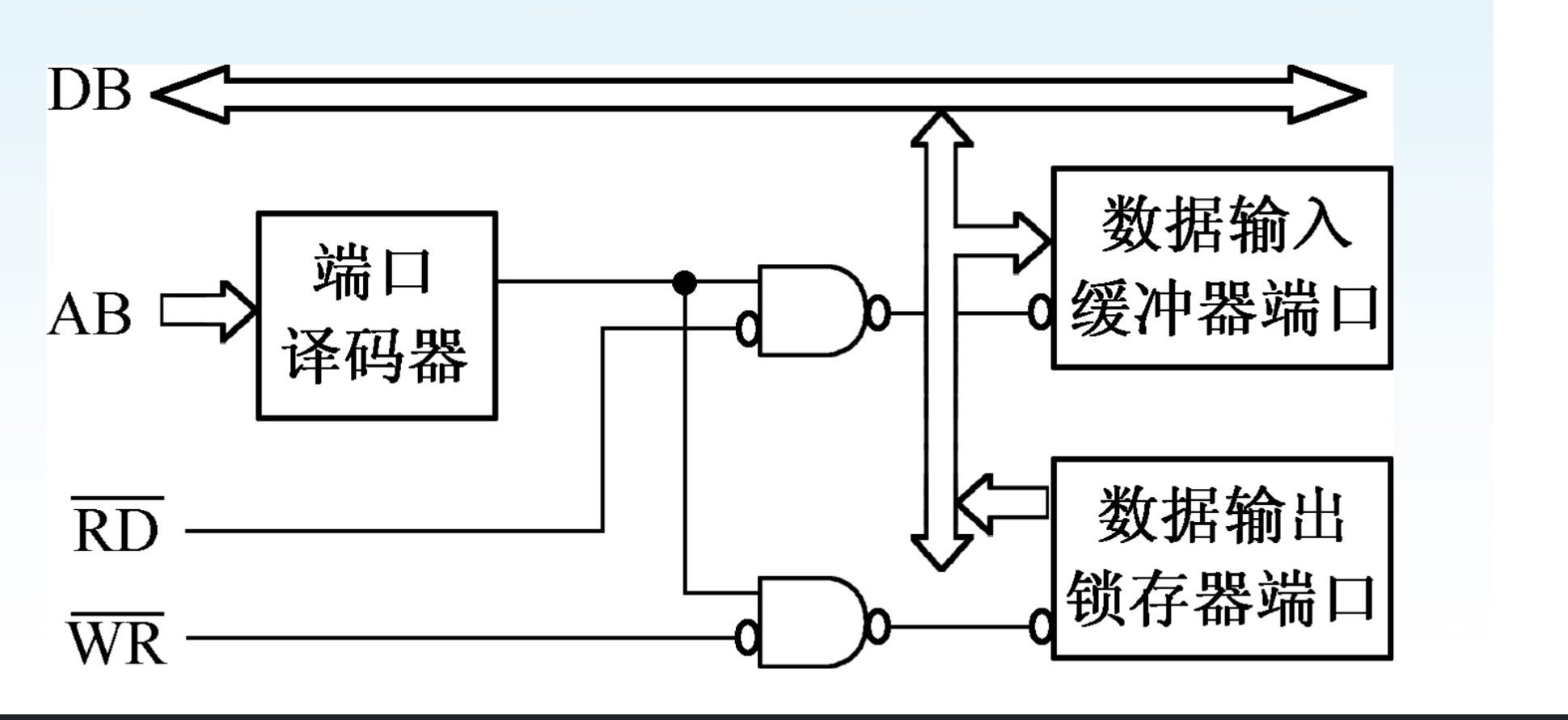 image-20250101180436835