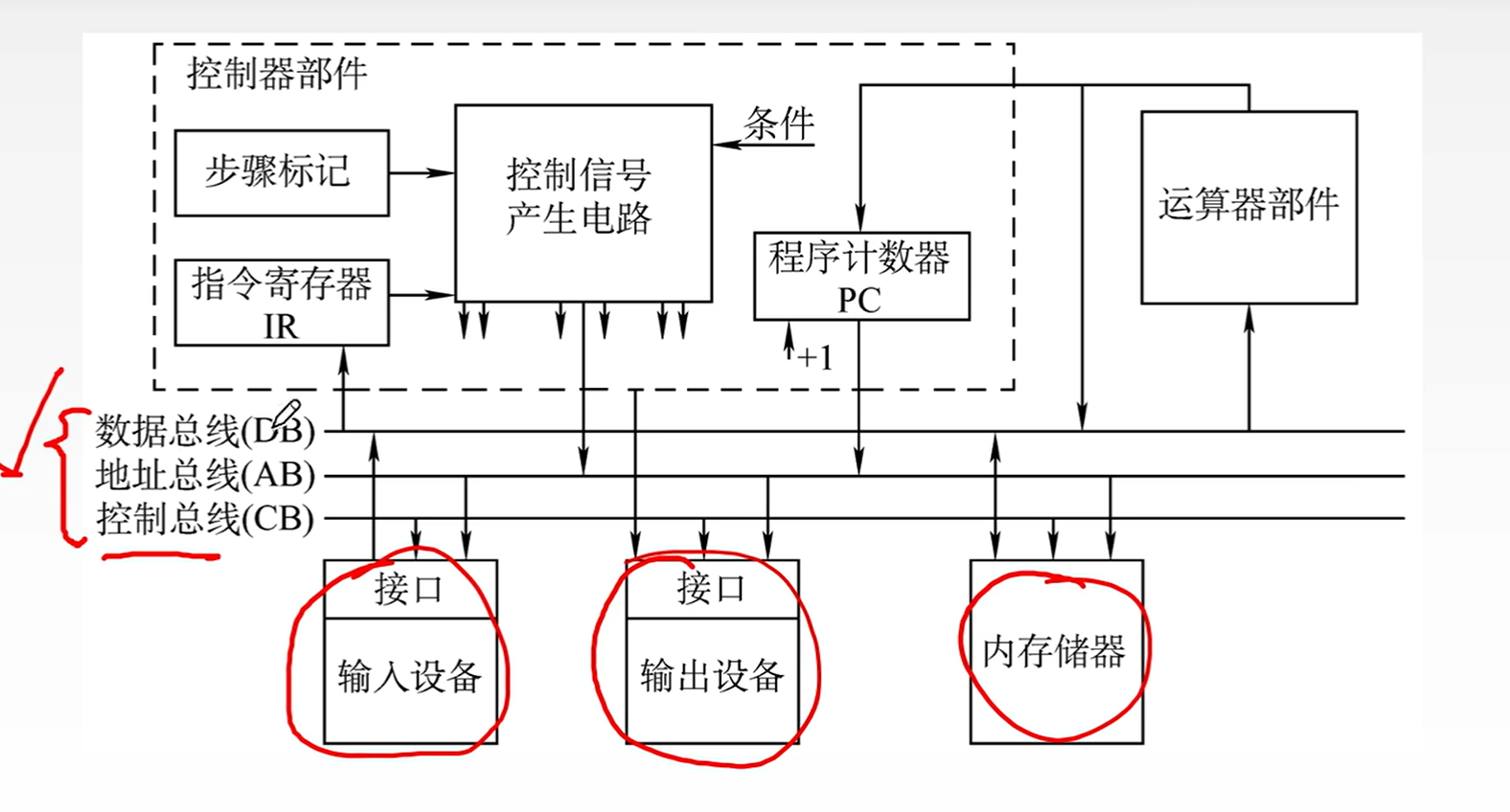 image-20250103160648875
