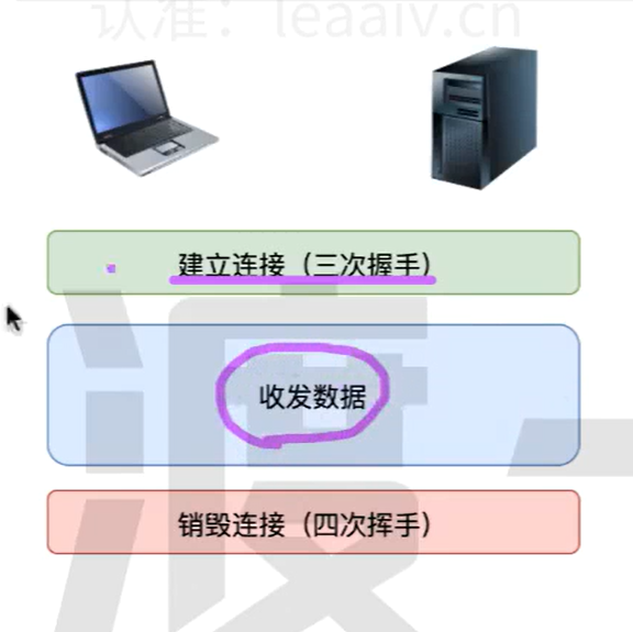 image-20250121195808717