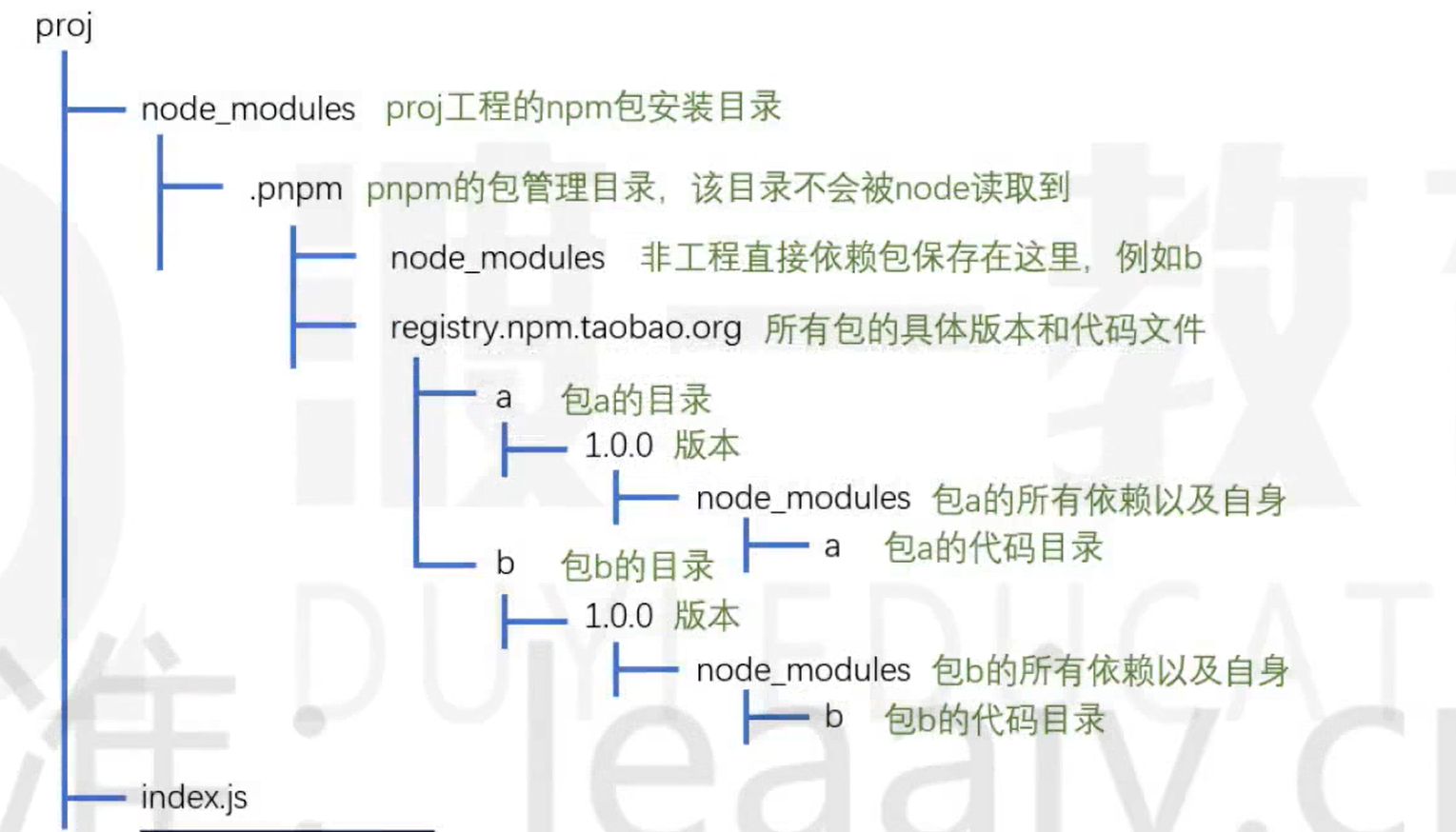 image-20250113171921505