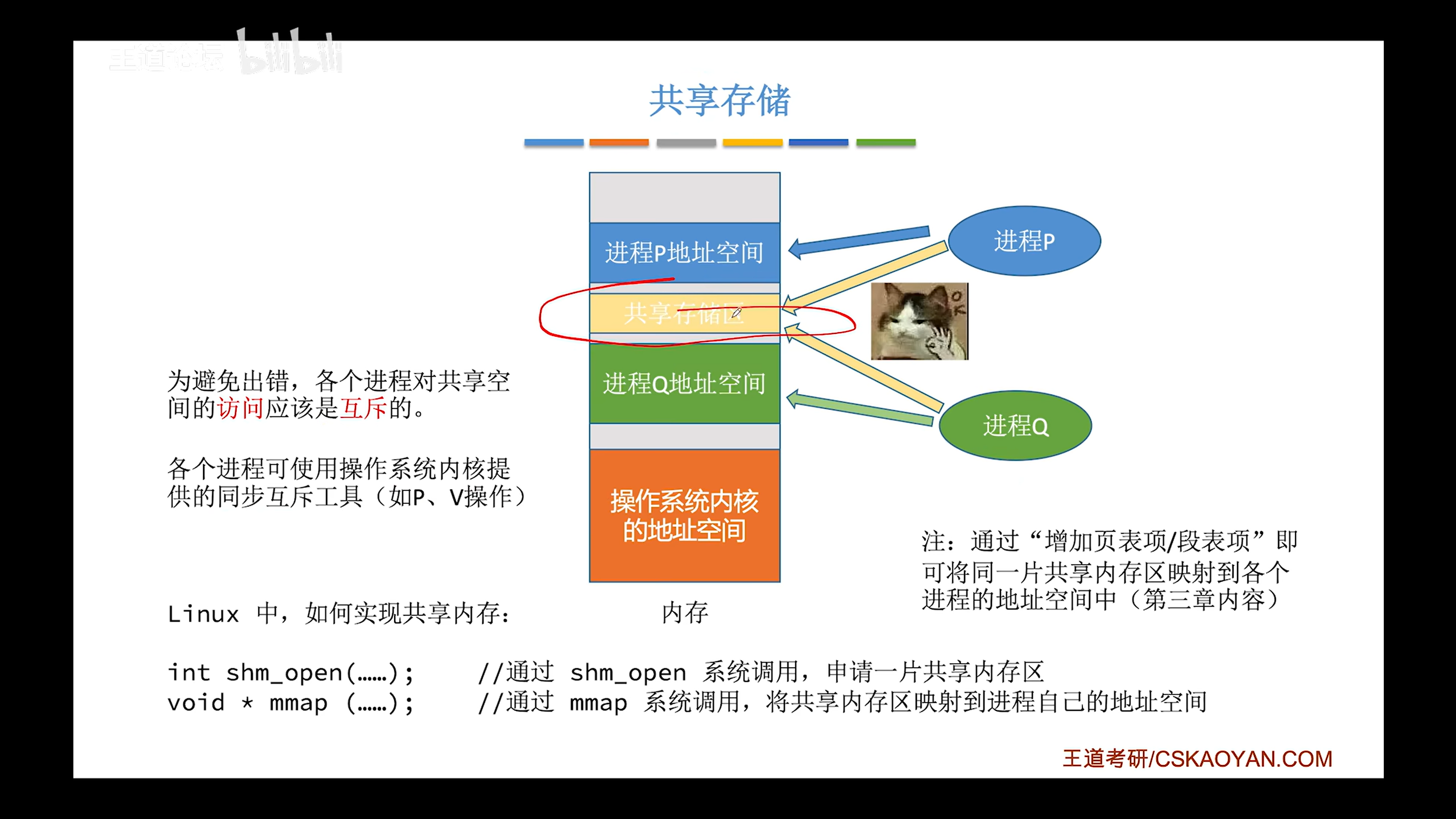 image-20250205165308925