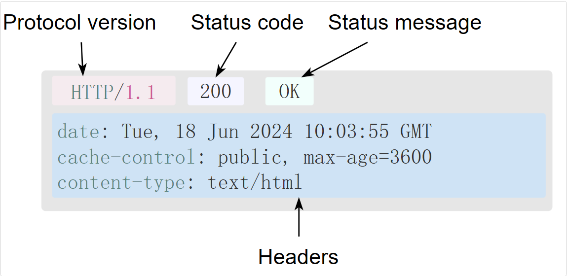 image-20250219203955127
