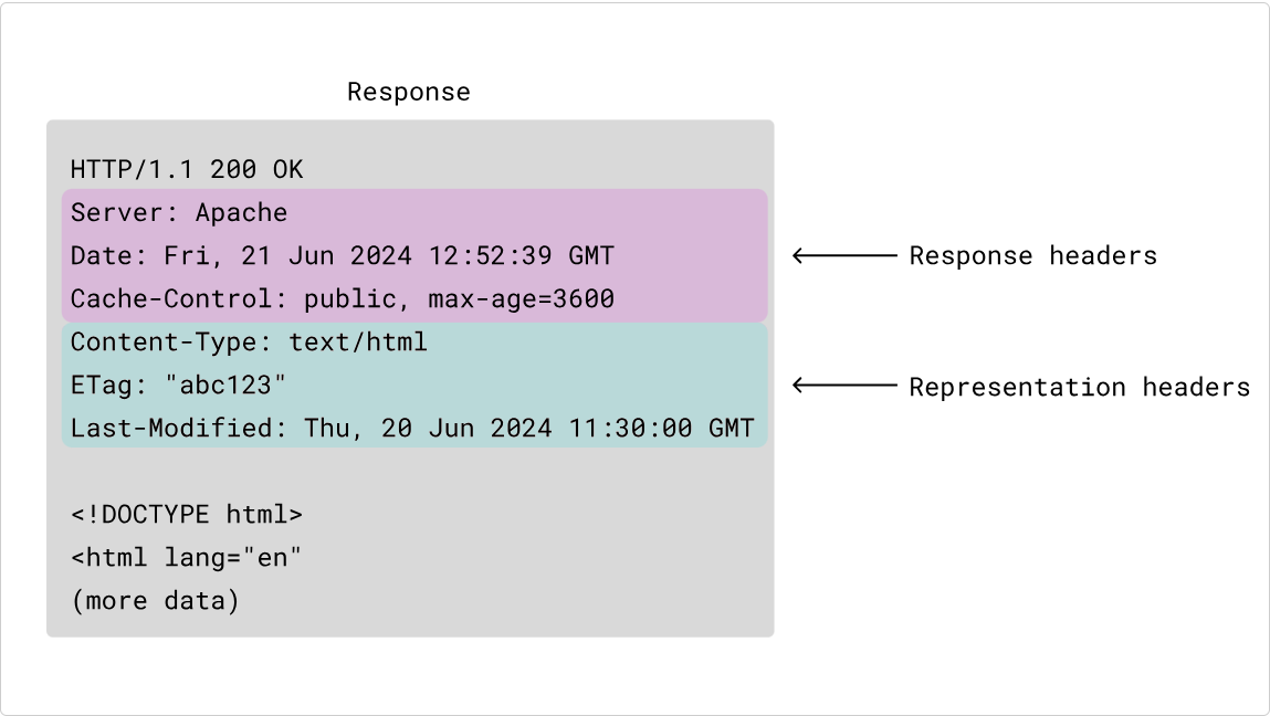 image-20250219215551400